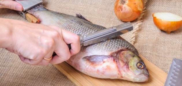 تفسير تنظيف السمك في المنام للمتزوجة